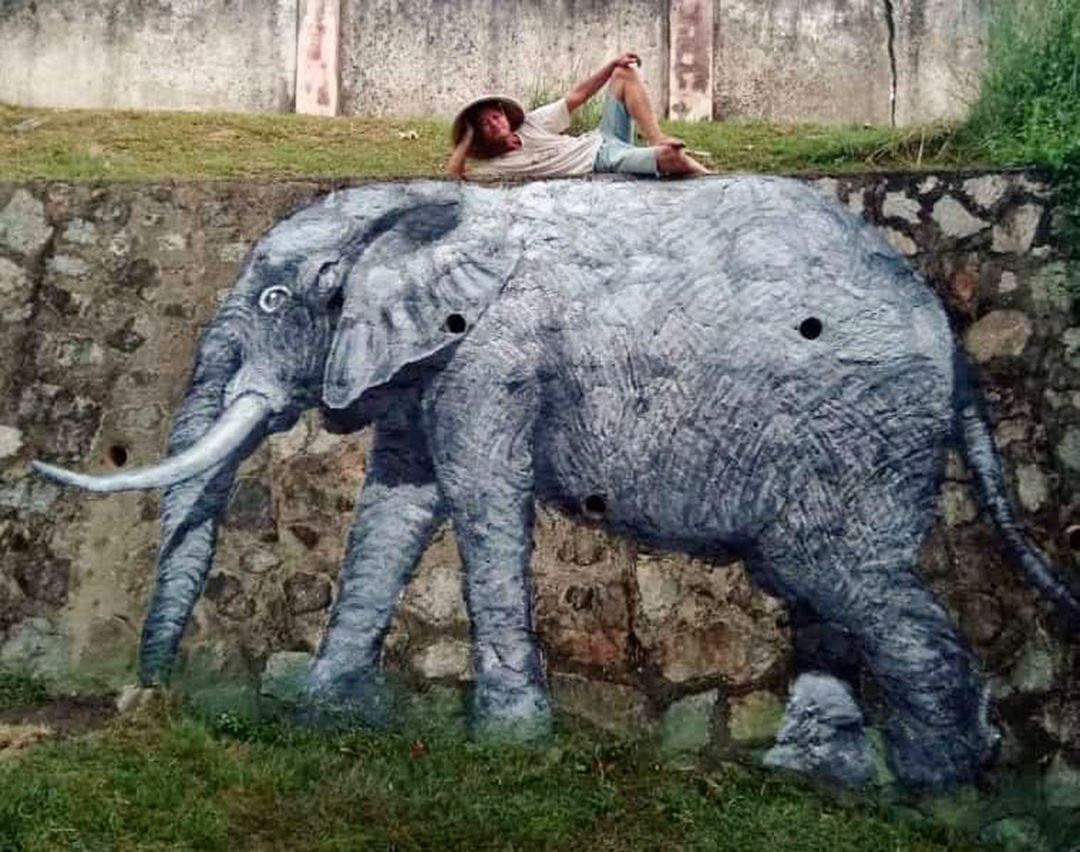 Elephant web pic