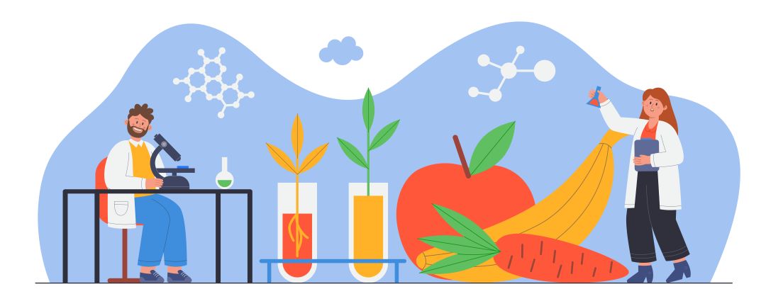 Scientists studying genetically modified food in laboratory