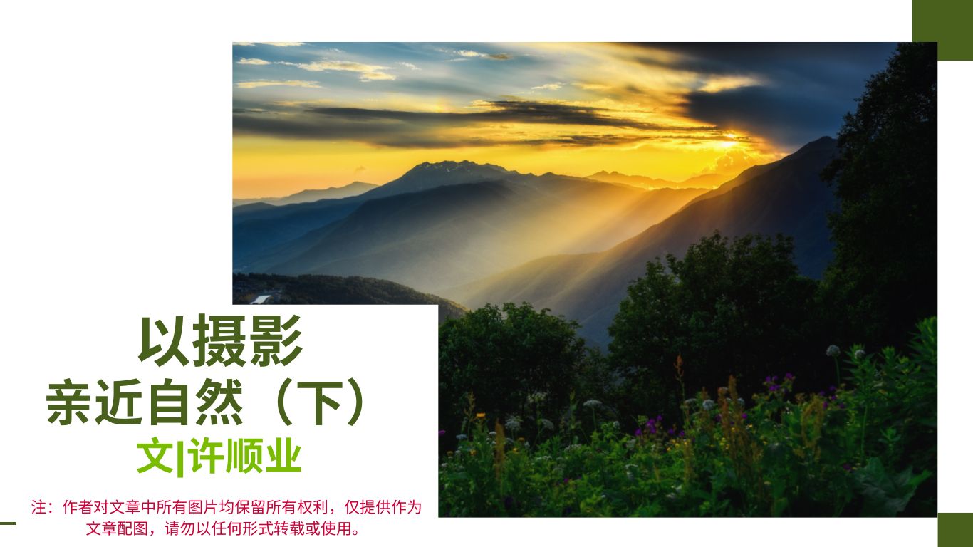 2024.12.摄影亲近自然 下1