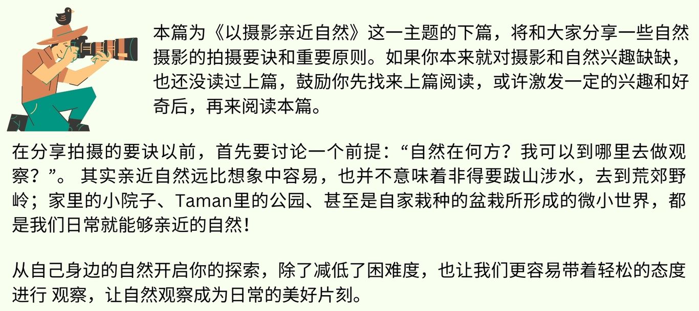 2024.12.摄影亲近自然 下2
