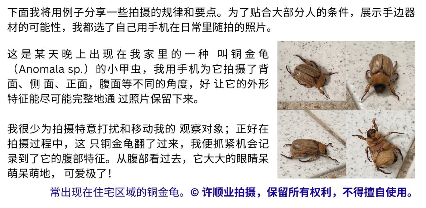 2024.12.摄影亲近自然 下4