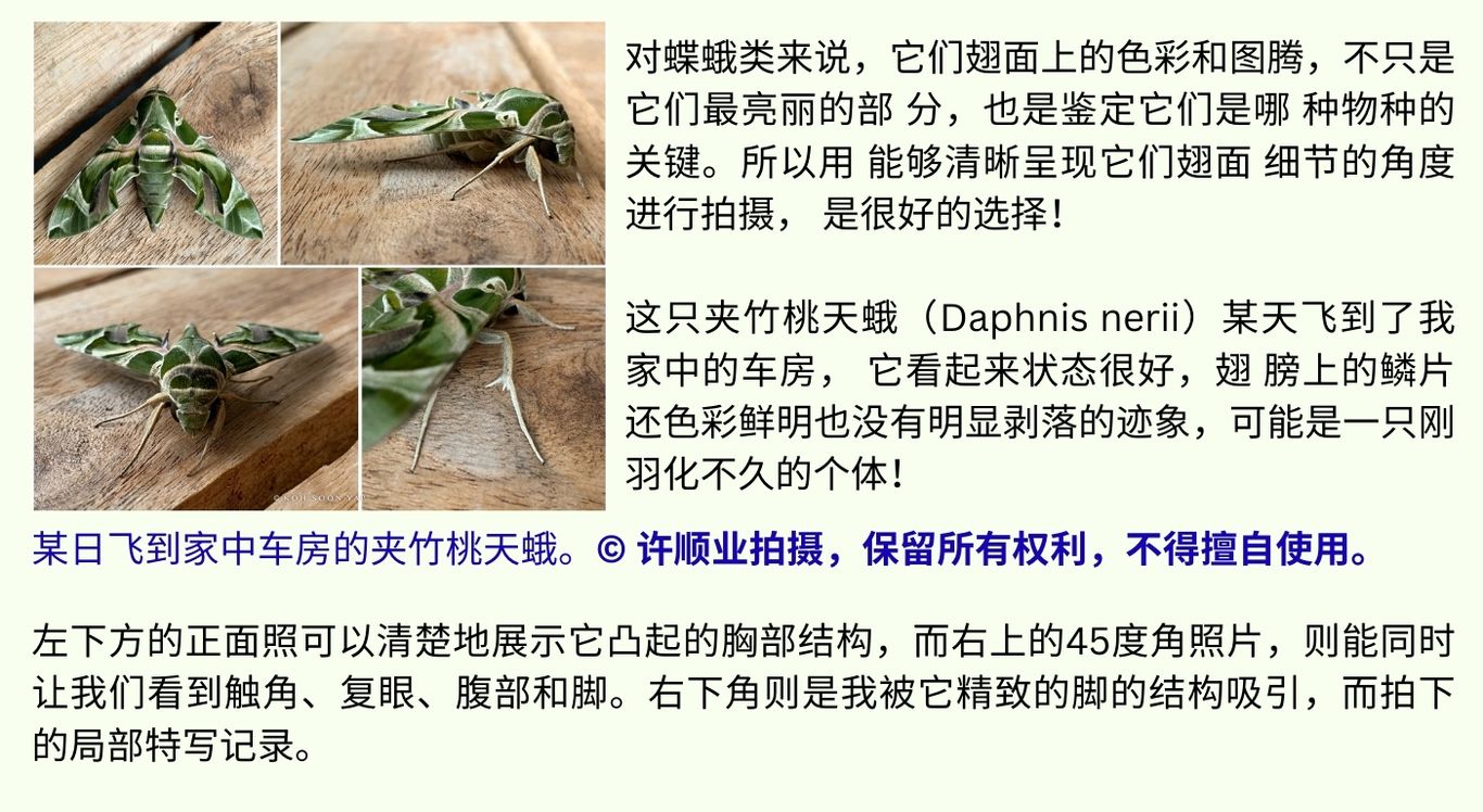 2024.12.摄影亲近自然 下5
