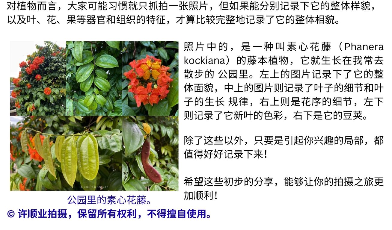 2024.12.摄影亲近自然 下6