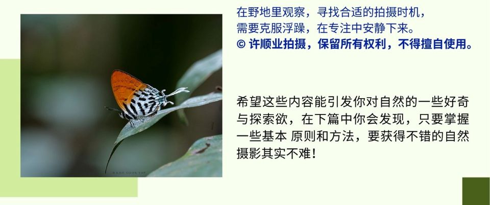 2024.12学不完的知识 以摄影亲近自然7