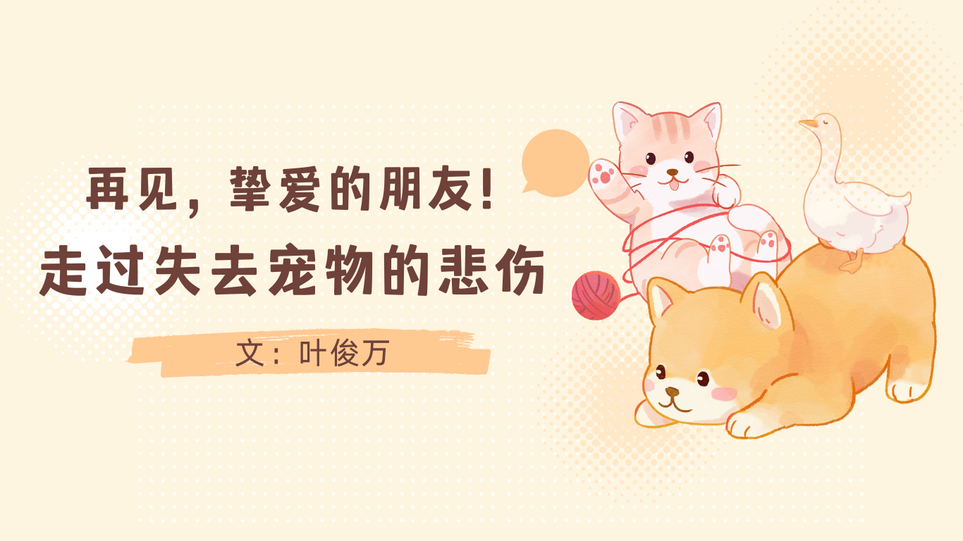 202412.明明白白我的心1