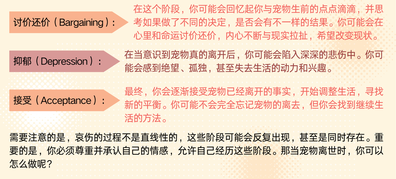 202412.明明白白我的心4