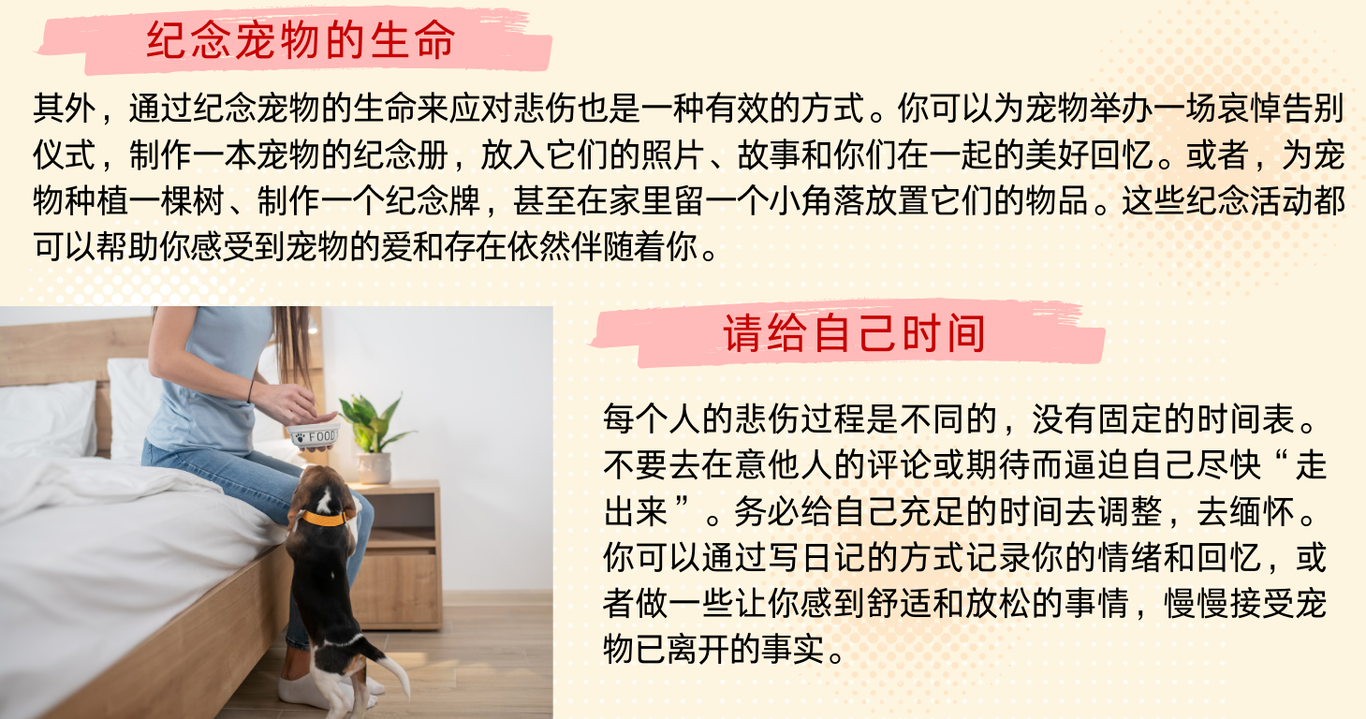 202412.明明白白我的心6