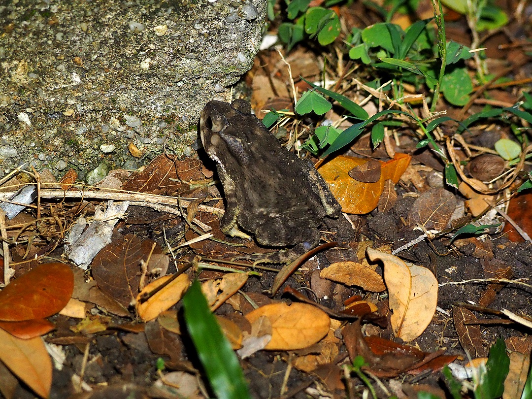 P8160050 1009 web 3