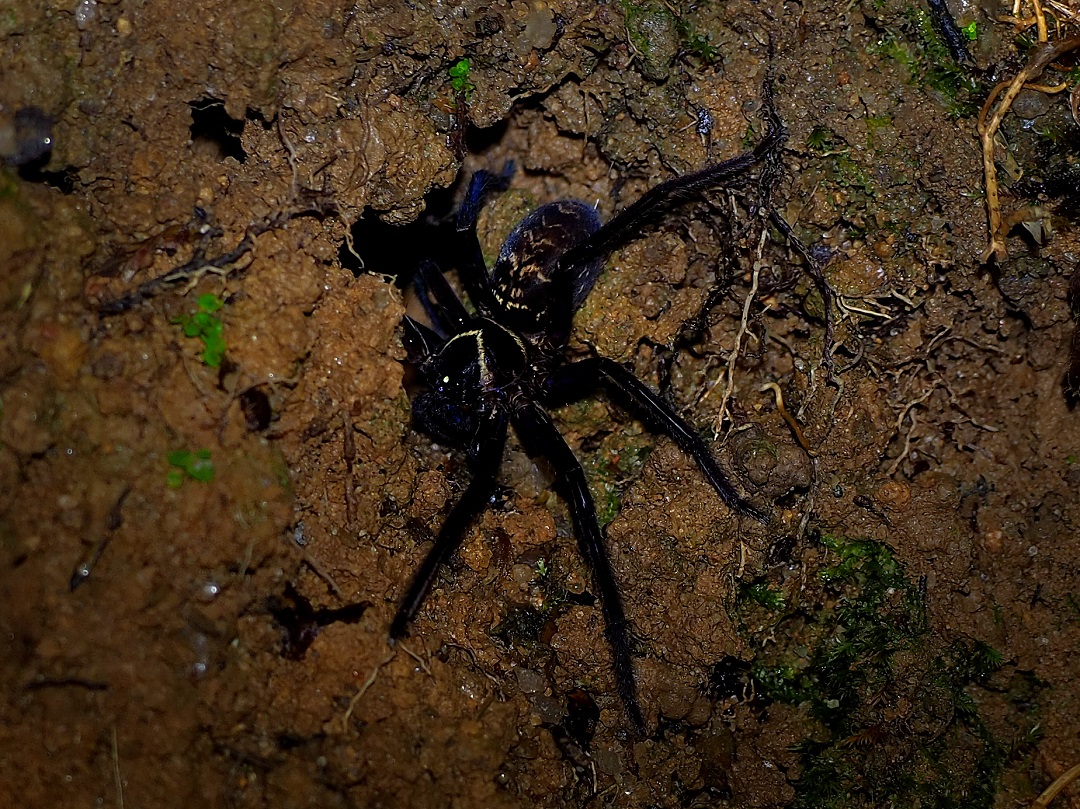 web 5.P9040239