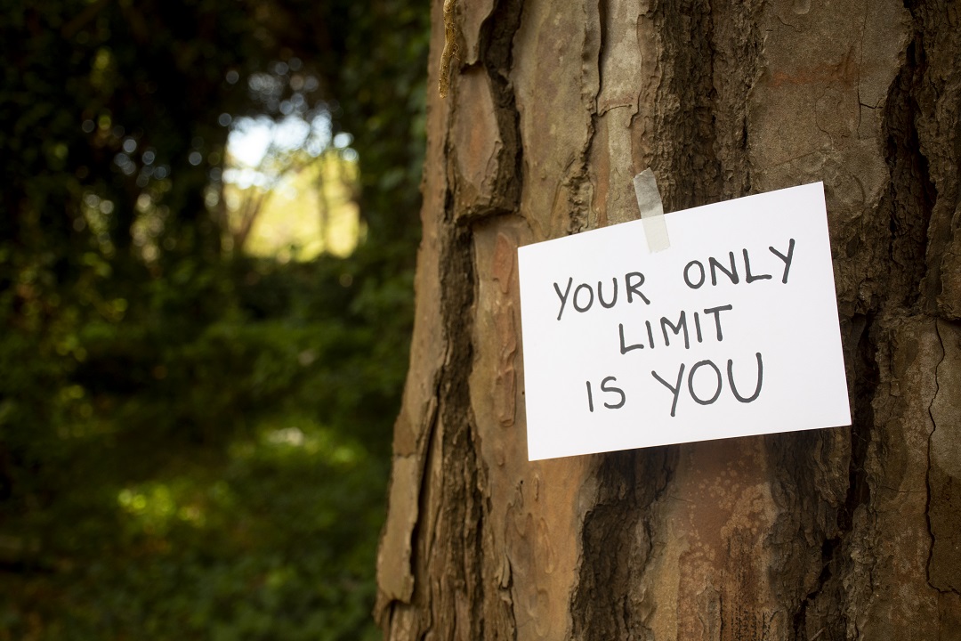 web inspirational quote nature
