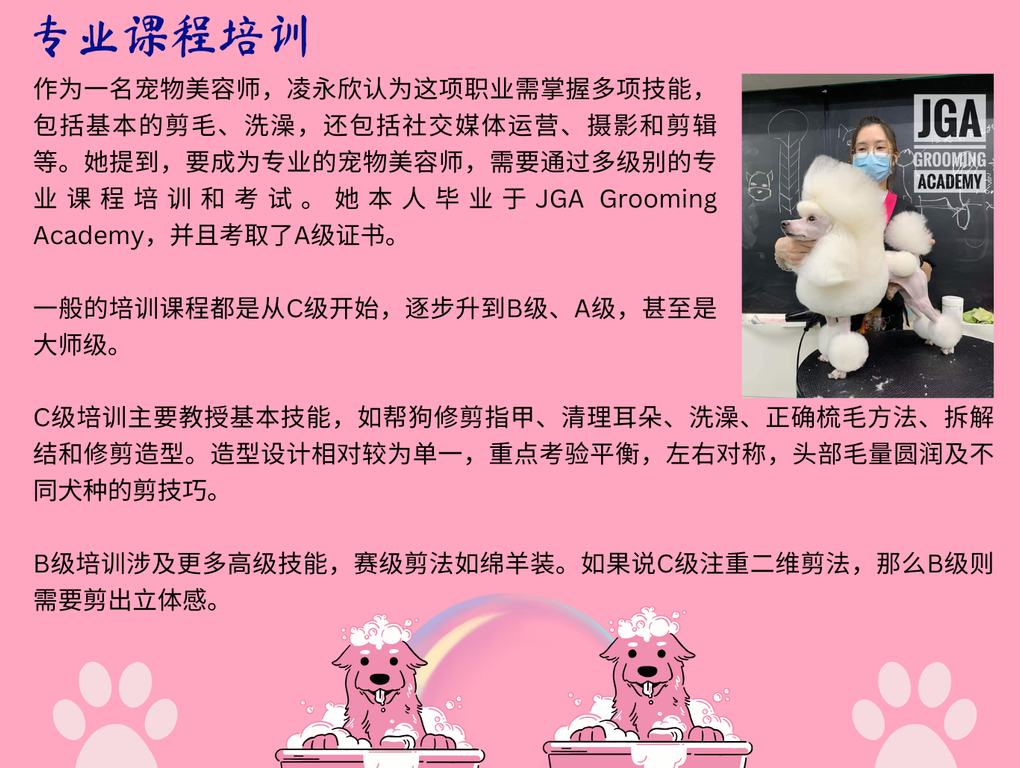 tbzt 346宠物美容师 4
