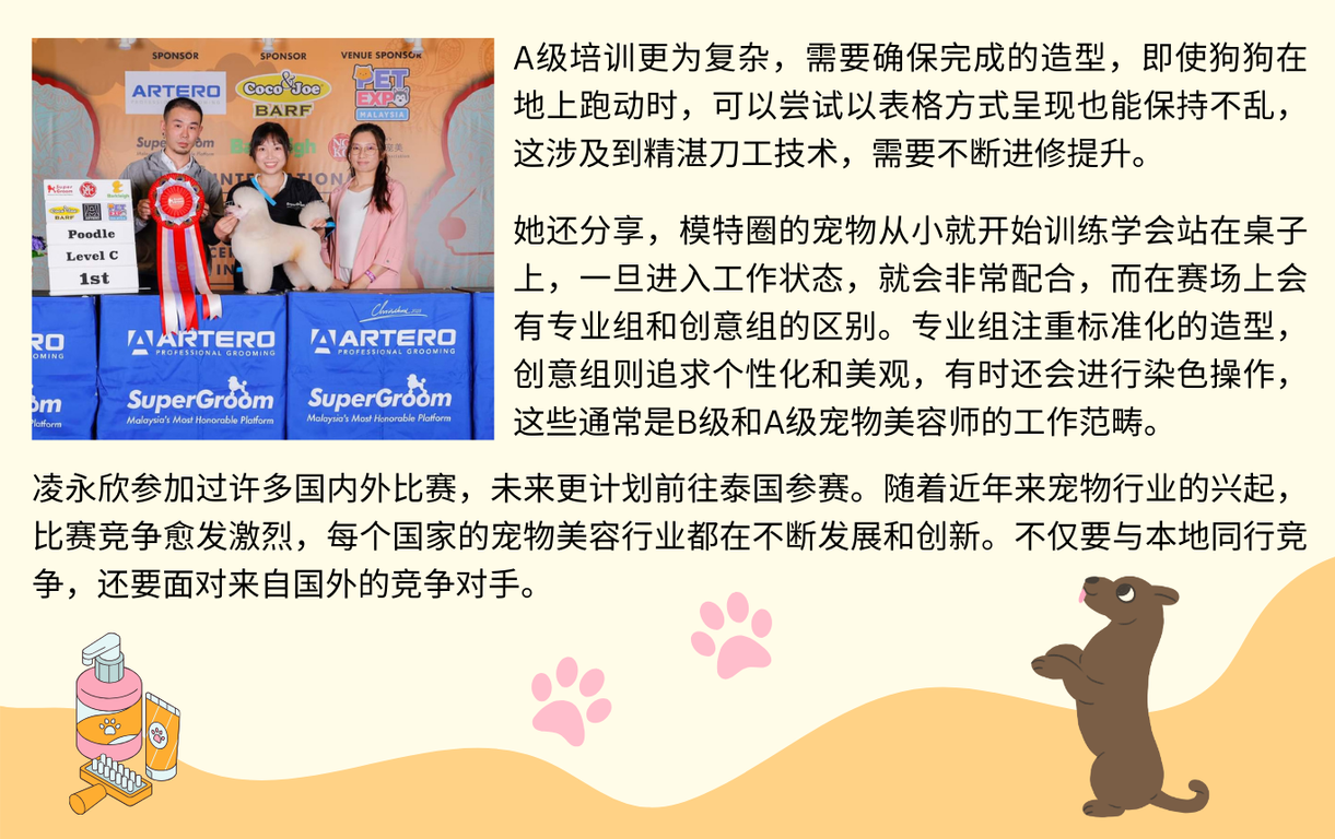tbzt 346宠物美容师 5