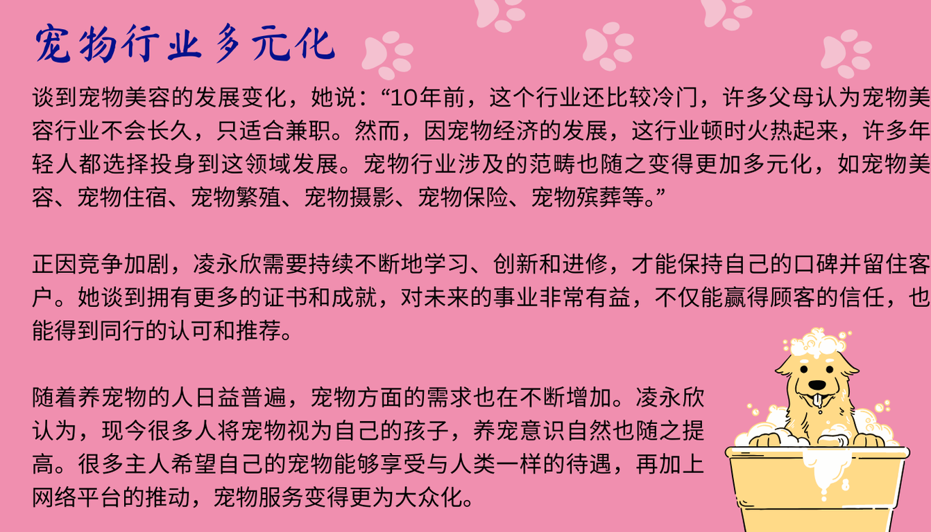 tbzt 346宠物美容师 6
