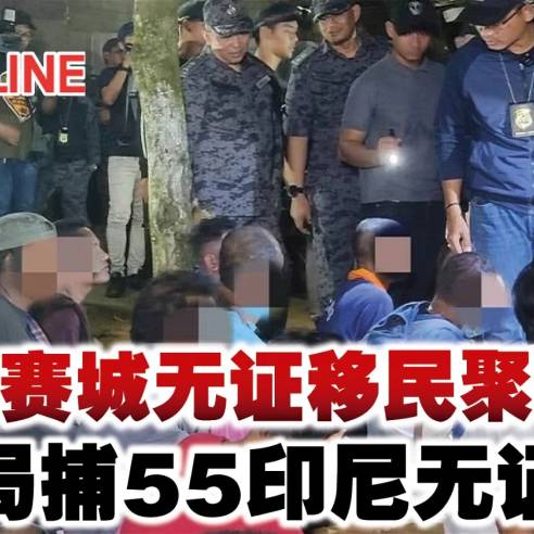 被动受害之外:无证移工的主体行动