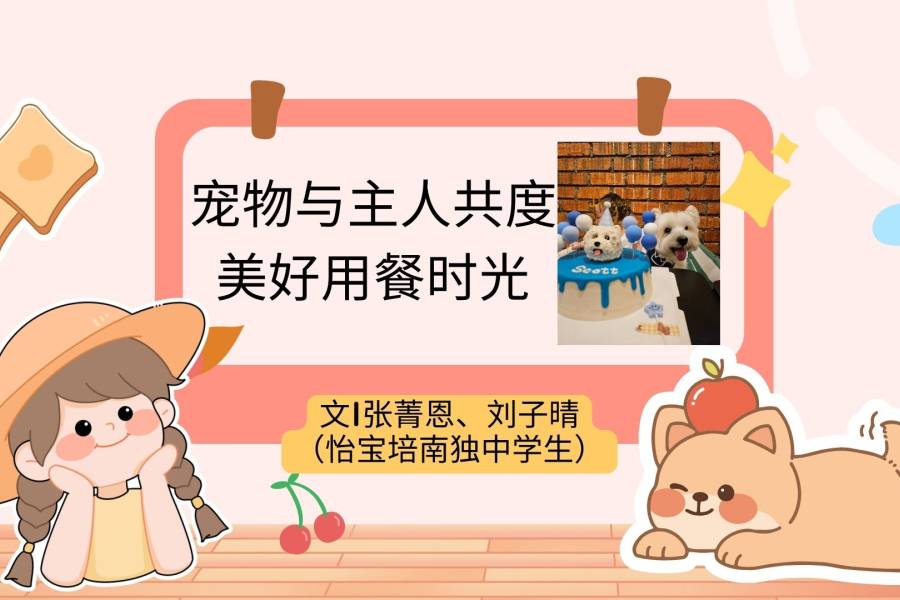 宠物与主人共度美好用餐时光