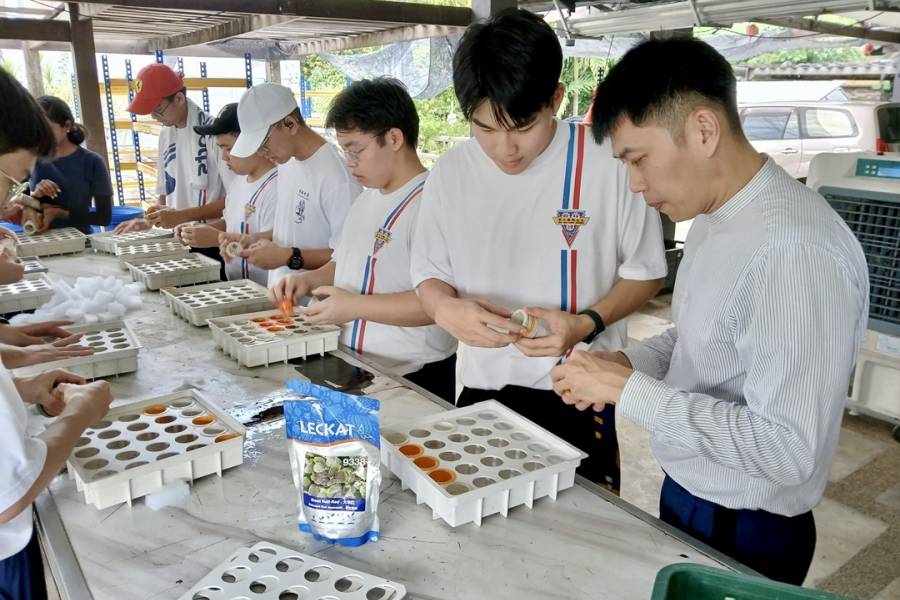 刘兼阀：Opus Farm商学会户外体验学习探索之旅半日游 
